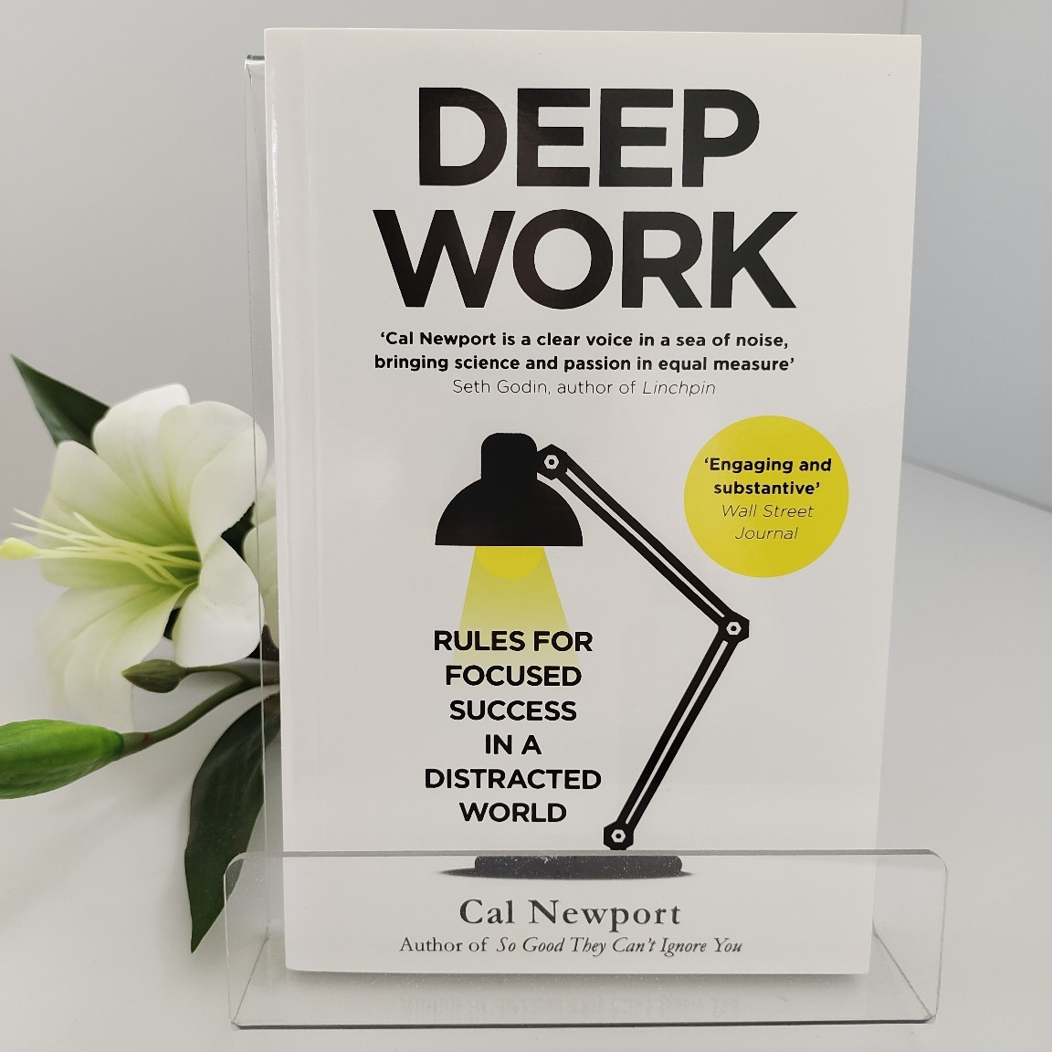 Renewable Energy Resources - Deep Work by Cal Newport |